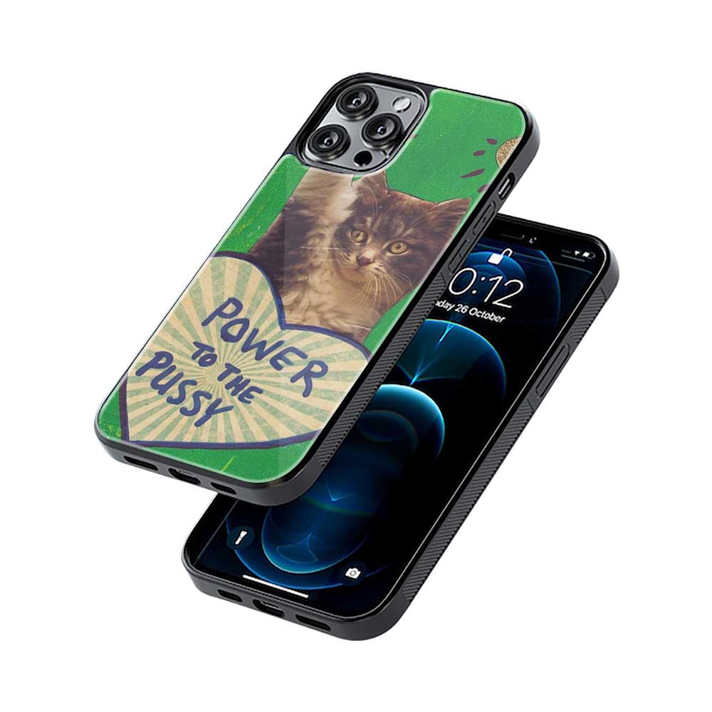 Pussy in Power | Glass Case
